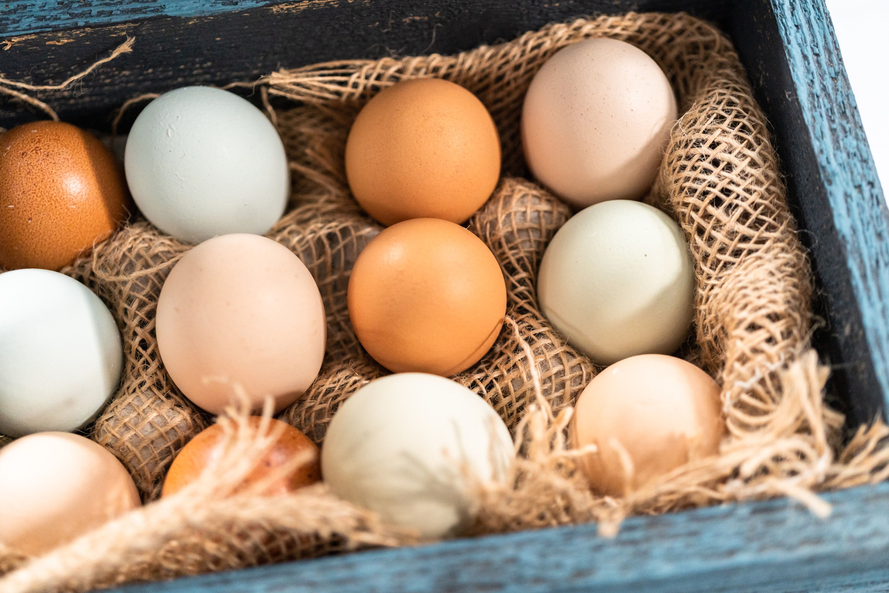 1 Dozen Farm Fresh Eggs