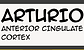 Screenshot 2025-04-09 at 10.42.00 PM.png