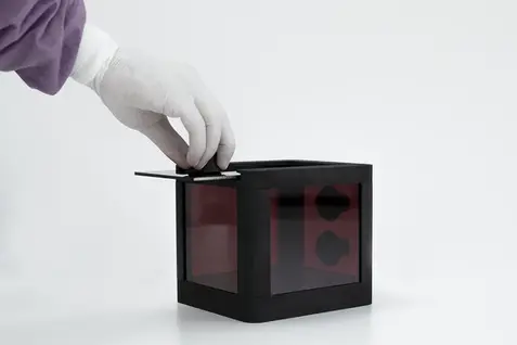 Hand wearing lab glove sliding the lid open on the heated anaesthesia box mouse.