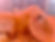 FullSizeRender.JPEG