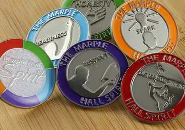 Bespoke Pin badges for school electors and social rewards
