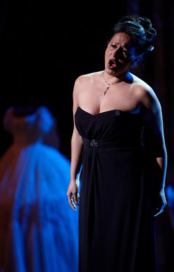 Armel/Mezzo Competition