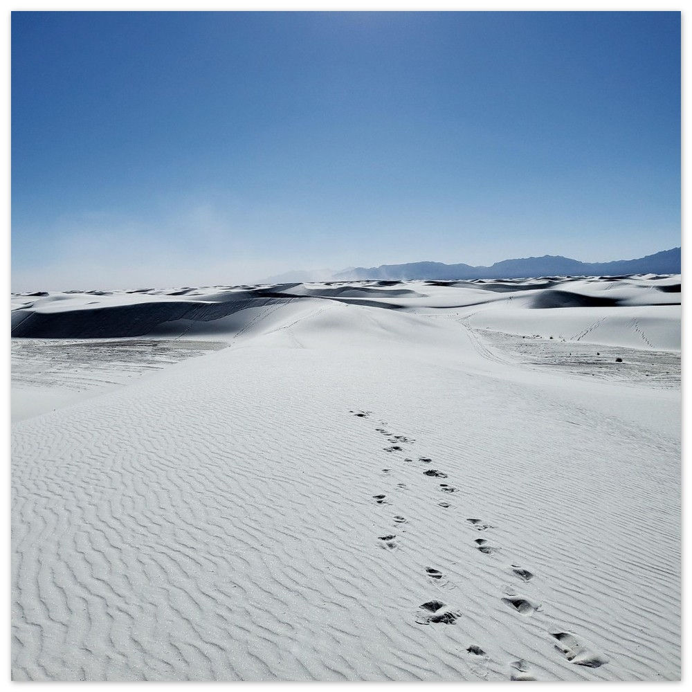 Memories in the White Sand (Aluminum)