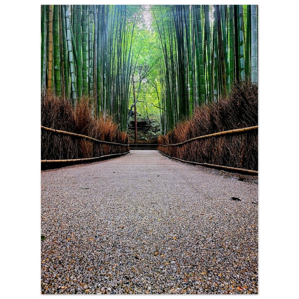 Bamboo Forest (Brushed Aluminum)
