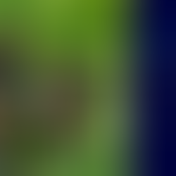 Informations réinscriptions au CHV !