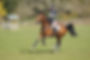 Cheval et sa cavalière durant un cours d'équitation