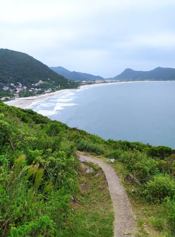 imagens da trilha do saquinho em Florianópolis, passeio perfeito para levar os cães 