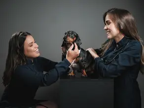Natóca VetCare: Cuidando com Amor da Saúde Dermatológica do seu Pet na Grande Florianópolis