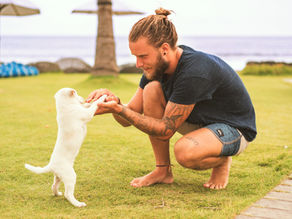 Importância do passeio diário com seu cão