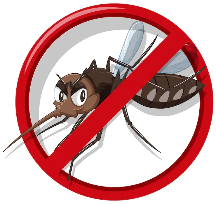 mosquito transmissor de leishmaniose com um circulo vermelho