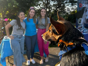 Primeiro ArraiAu da Nátoca Vetcare: Uma Festa Inesquecível para Animais e Tutores em Florianópolis!