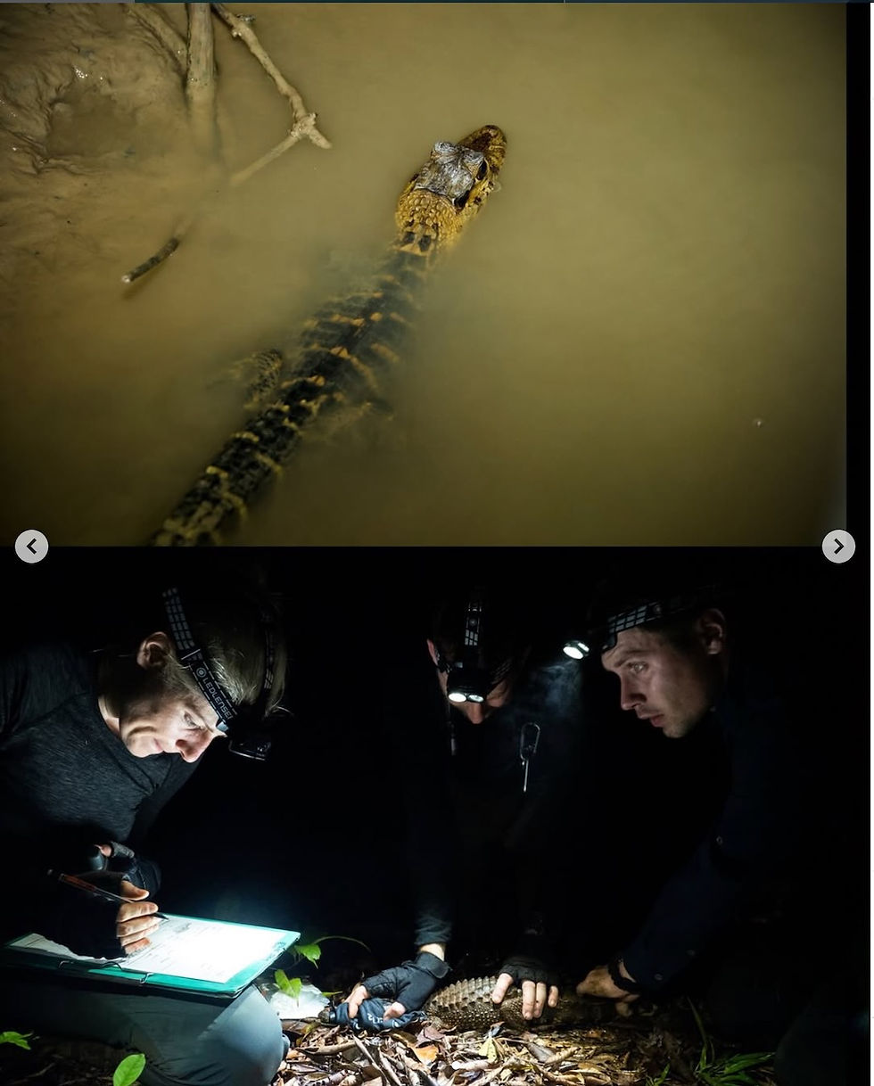 source: instagram Rosanna Mangione @crocnrollheart