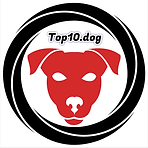 Logo.PNG