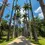 Miniatura: JARDIM BOTÂNICO (26 DE SETEMBRO)