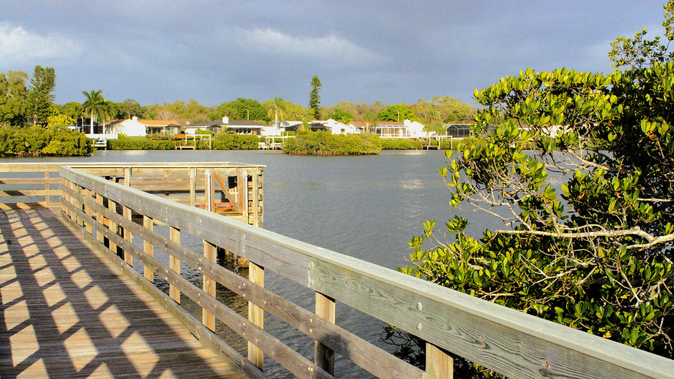 Wooden boardwalk by water in Pinellas County