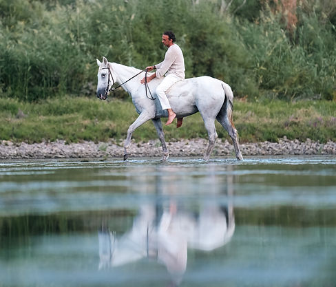 Inside the Kızılırmak River with a Horse