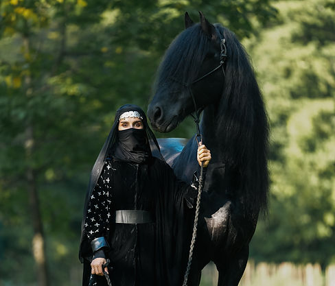 With Fresian Horse