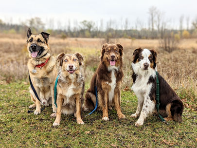 PXL_20221101_135944349.PORTRAIT_2 (1).jpg