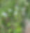 IMG_2505.jpeg