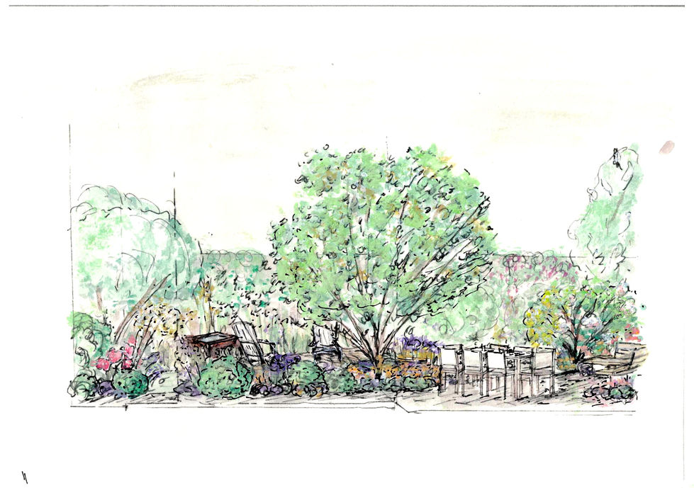 34 OPC garden room view_watercolour