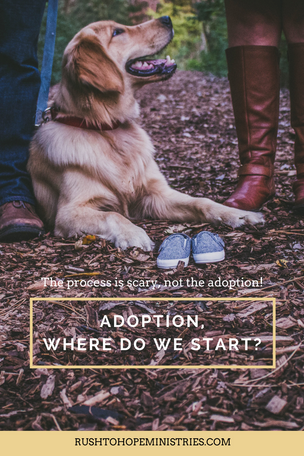 Adoption, Where do we start?