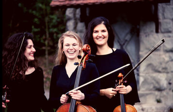 Anzeigebild Triologie_edited.jpg