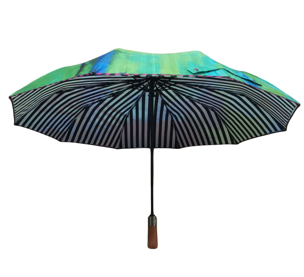 Thumbnail: RPET Umbrella Collapsible Umbrella Green