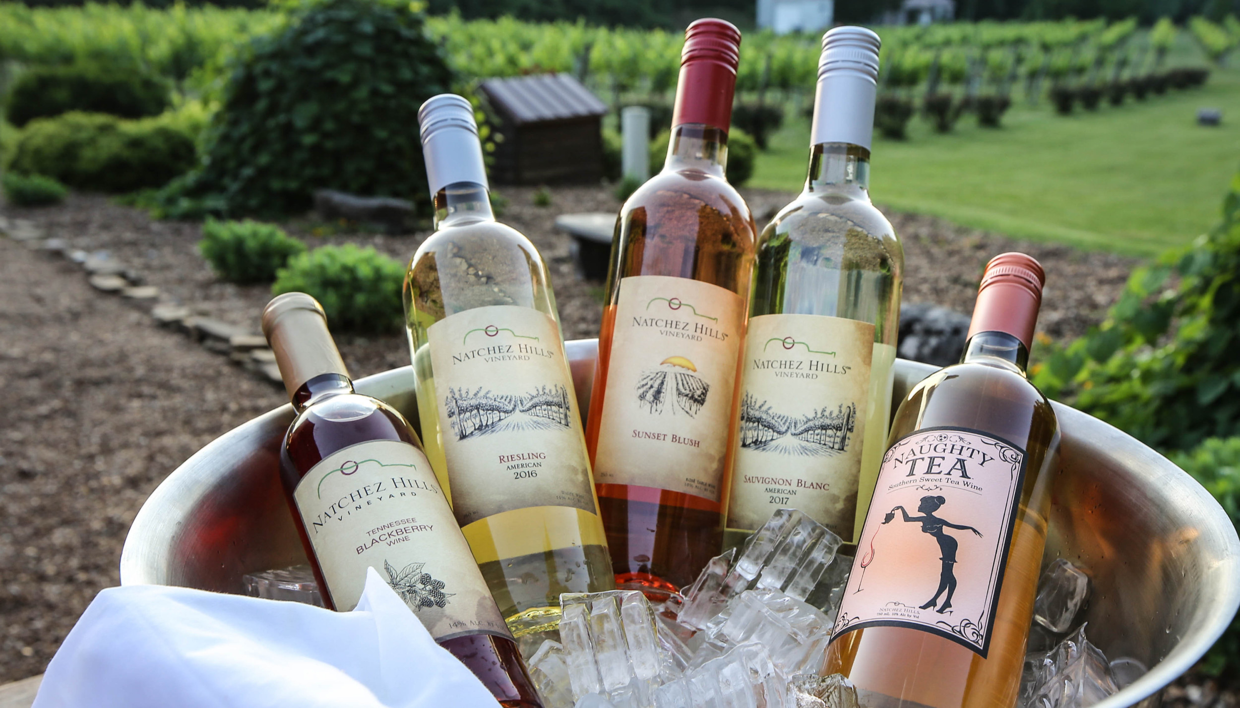 Vineyard and winery hero image