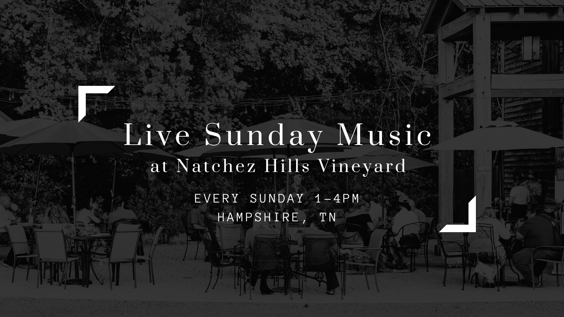 Live Sunday Music CANCELED Natchez Hills live-sunday-music-canceled-natchez-hills