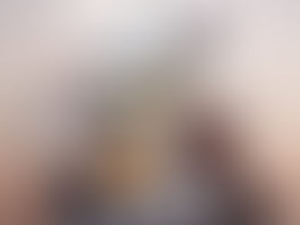 Pallaso analizando la entrada.