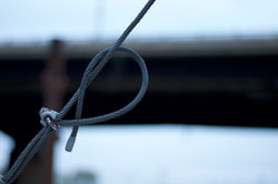 IMG_0456.jpeg