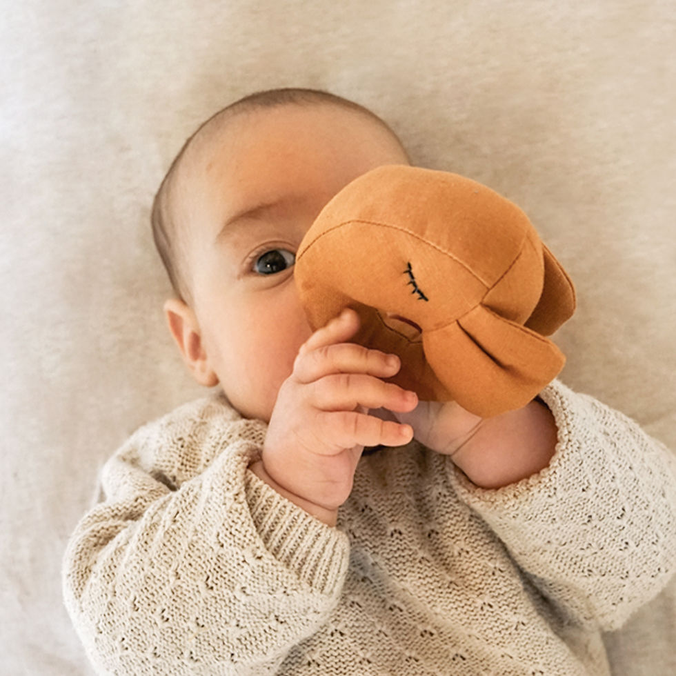 רעשן מבד לתינוק