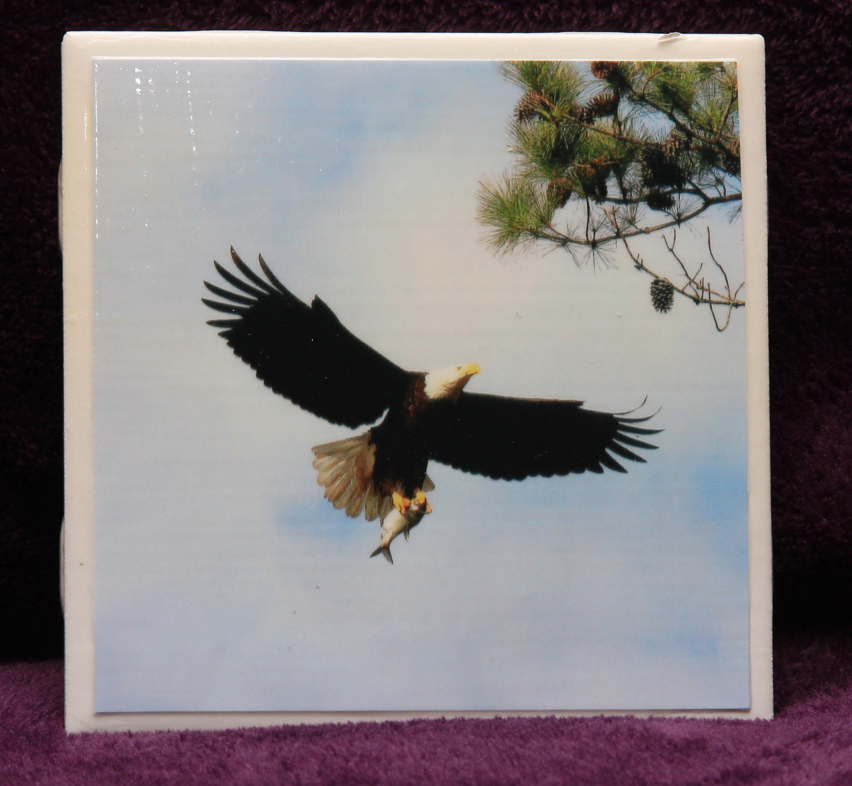 Eagle Tile Coaster #1