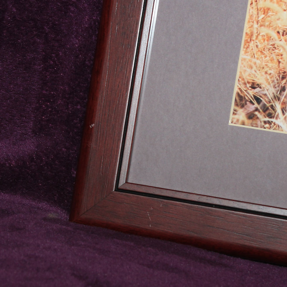 Thumbnail: Framed Print