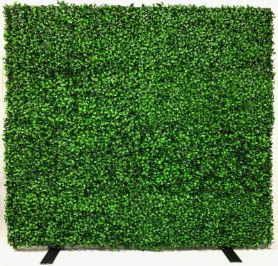 Thumbnail: Flower Wall