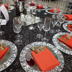 Mirror Charger Plates