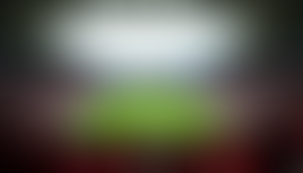 Discovering the Legacy of CR Flamengo