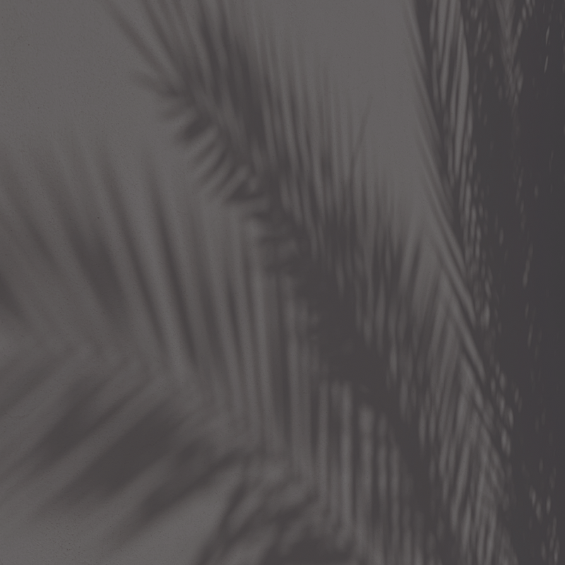 Carlas Signature-2.png