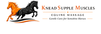 rentangle no back ground.png