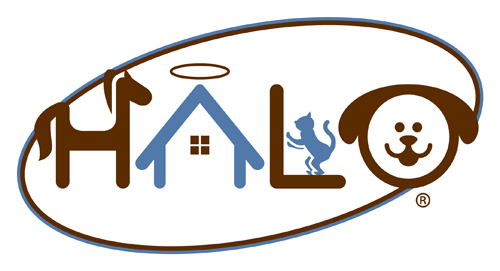 Writer: HALO Sanctuary