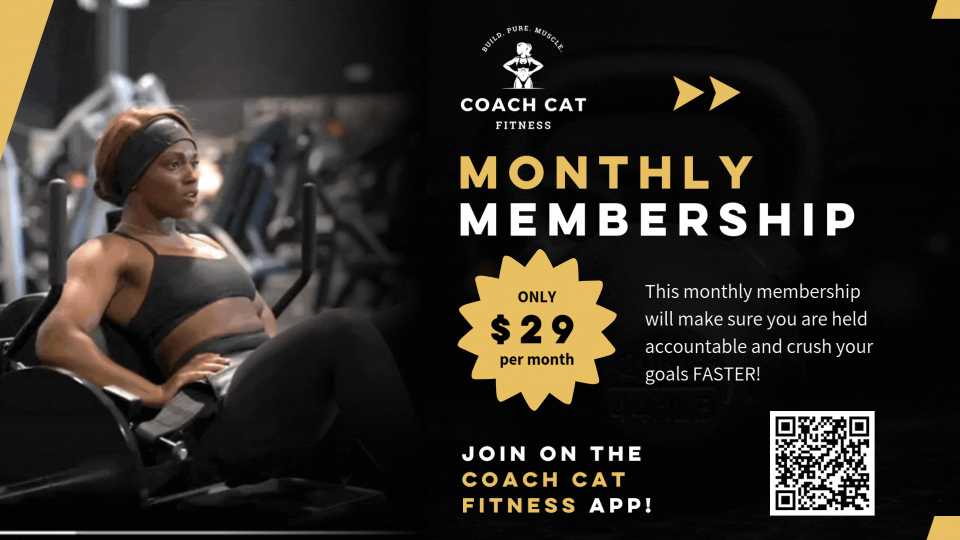 Coach Cat Monthly Membership-WEB.gif