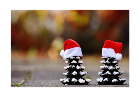 5 Christmas Survival Tips