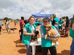 a39f3e19-ec7d-4f04-ad61-e8f5fc740c21