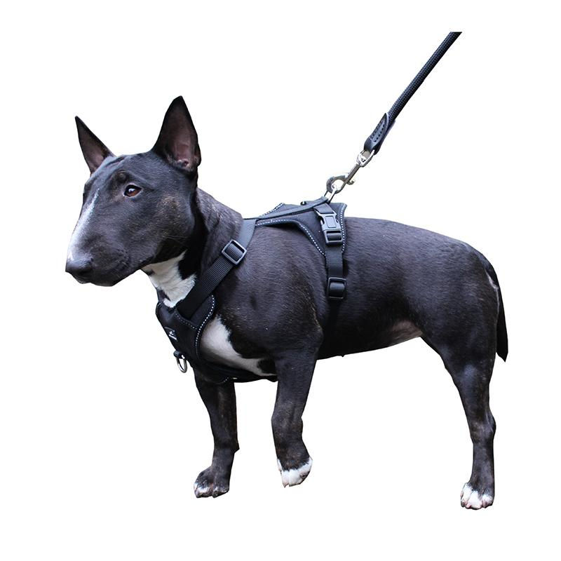 Thumbnail: Miro & Makauri Dual Purpose Adventurer Dog Harness
