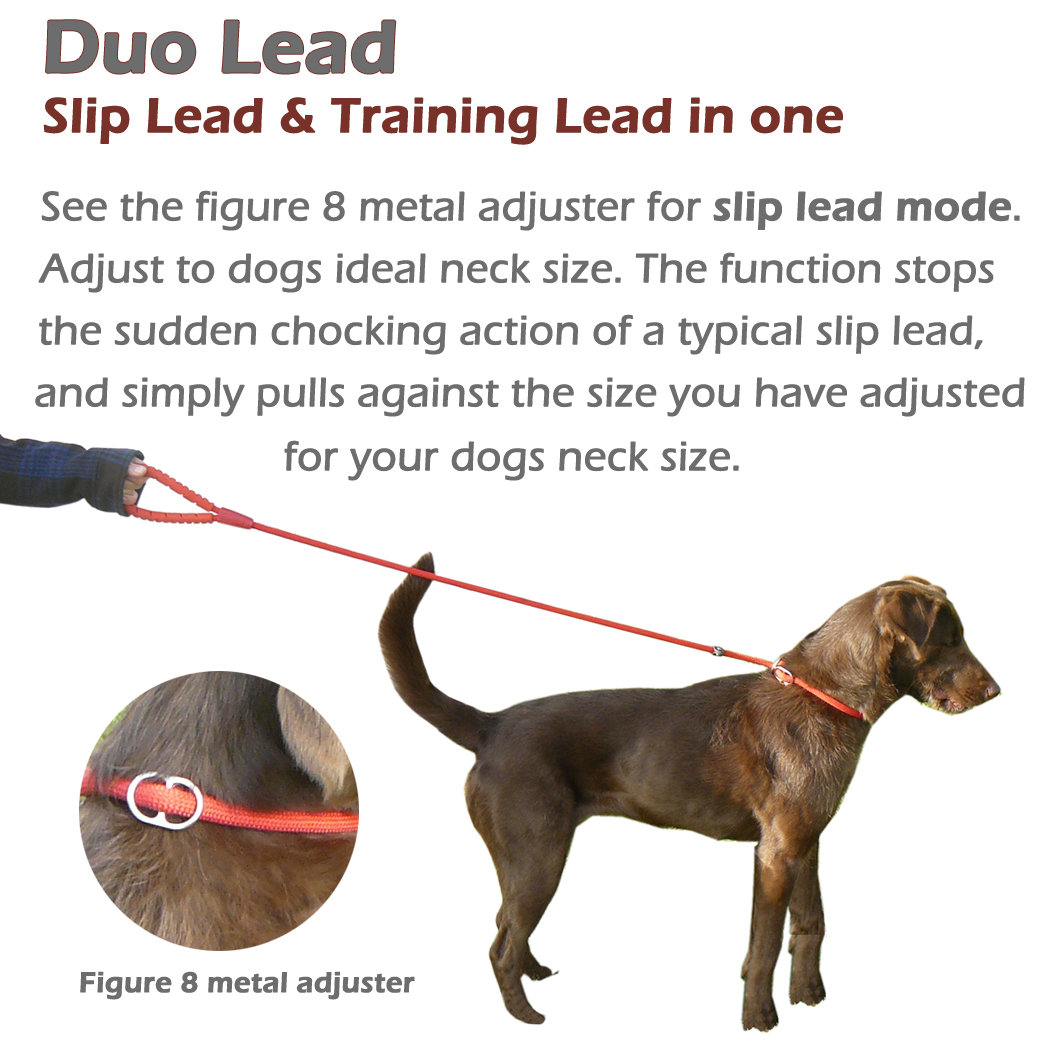 doberman dog collars