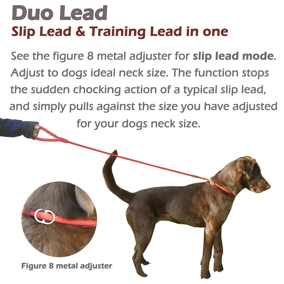 Thumbnail: Miro & Makauri - Dog Slip Lead with Figure 8 Training Aid - Plain Handle