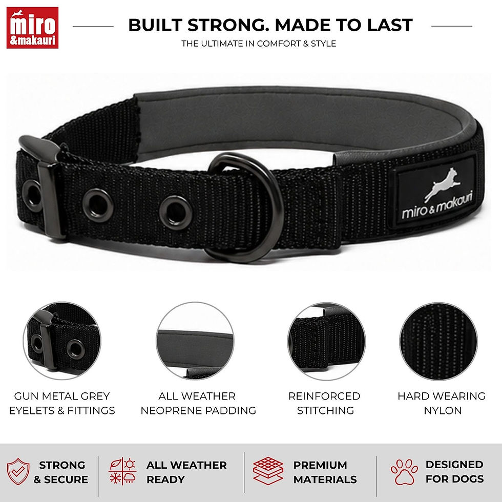 Thumbnail: Miro & Makauri - Padded Nylon Buckle Dog Collar