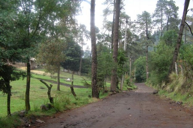 terreno_en_venta_en_santo_tomas_ajusco_tlalpan_distrito_federal_3270112418264512