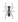 ANT.png