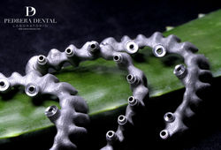 Conexiones mecanizadas Pedrera Dental